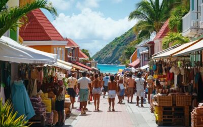 The Population of Saint Barthélemy Under the Microscope: How Wealth, Geography, and French Governance Influence Island Inhabitants