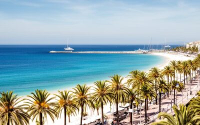 Discover Top Activities to Experience in Cannes